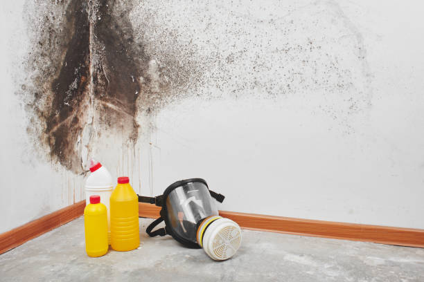 Best Mold Testing  in Hurt, VA