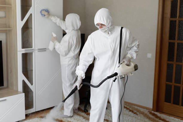 Best Office Mold Removal Services  in Hurt, VA