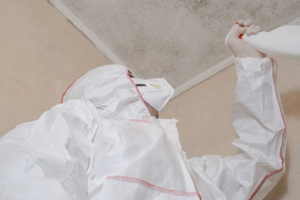 Best Mold Removal Process  in Hurt, VA