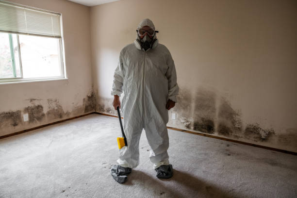 Best Certified Mold Removal  in Hurt, VA